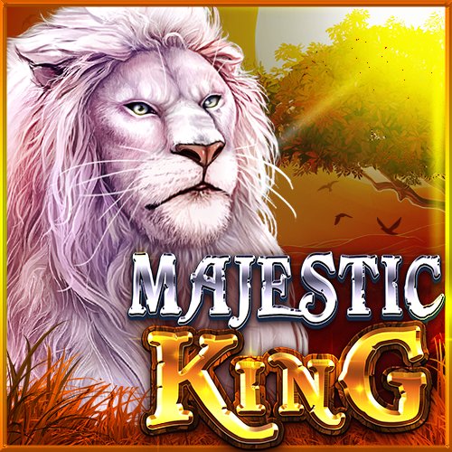 Betmais365 app