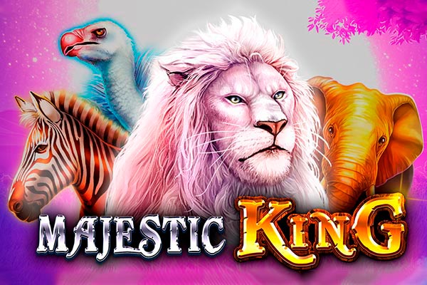 Winmi jogo online