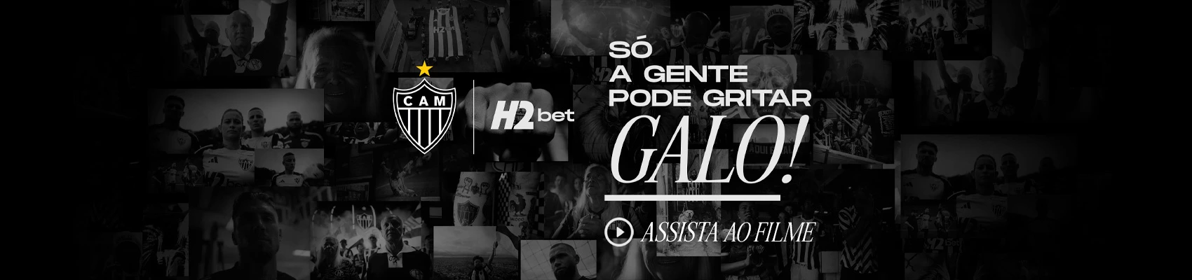 Blaze entrar na minha conta